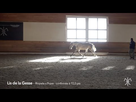 LIS DE LA GESSE - 14/04/2015