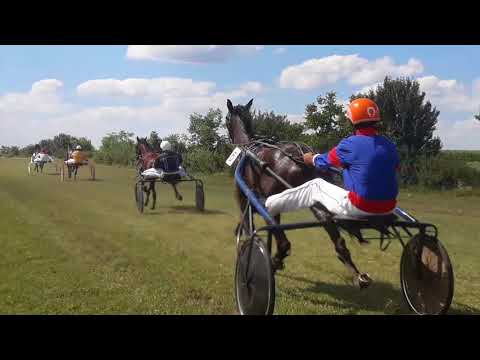 Žabalj"II Kasačka trka- Žarko Urosev-1600m-A"