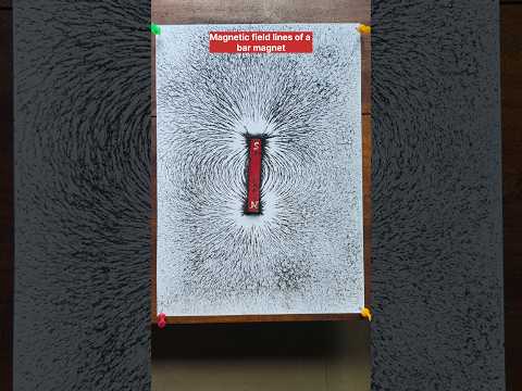 Magnetic field lines of a Bar Magnet with Iron Filings #shorts#physics #demonstration