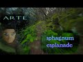 covering.. Sphagnum Esplanade