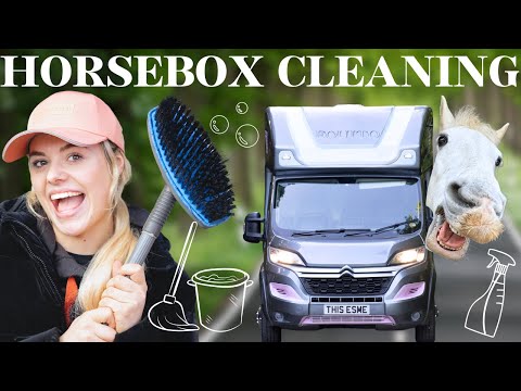 Spring Clean Series - Episode 2 - Horsebox version