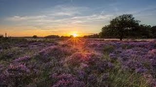 John woodhouse Op de grote stille heide