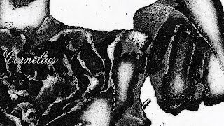 Cornelius New Release Information　Pt2