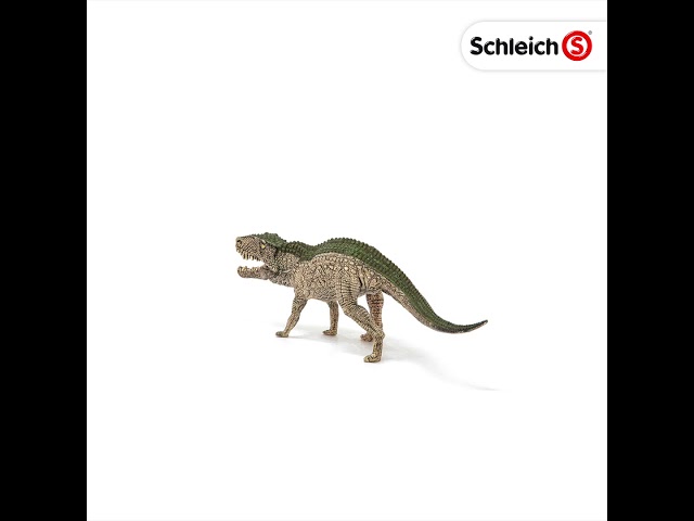 Video Teaser für 15018 Postosuchus 360 Video