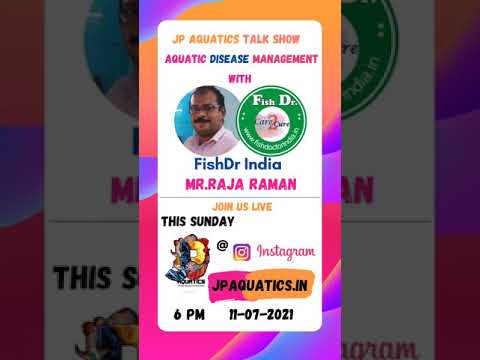 Jp Aquatics Talk Show Update | Episode 10 |