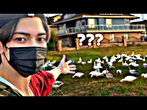 yeosang being yeosang