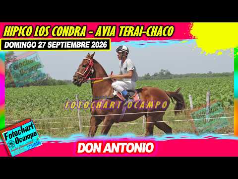 DON ANTONIO Avia Terai CH 27 09 2026