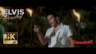 Elvis Presley AI 4K Enhanced ⭐UHD⭐ - Slicin&#39; Sand 1961