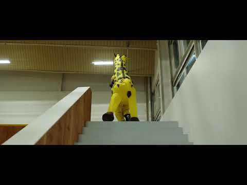 Fanta - Customer Success Story