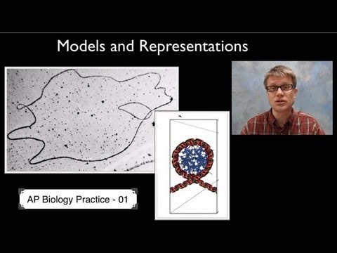 AP生物科学演習1：モデルと表現