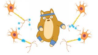 Tetanus Skeletal Muscle 