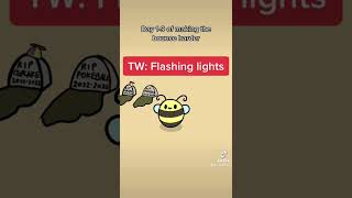 Cover art for kitty go kitty ride