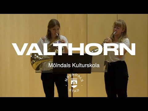 Valthorn Kursutbudsfilm