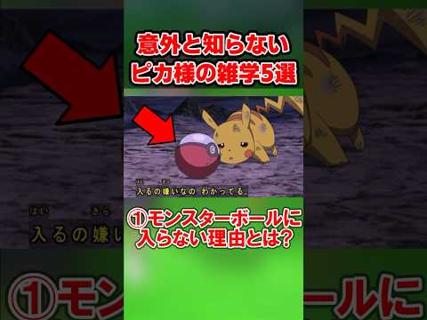 奇妙なこと: ピカチュウが喋ると観客は恐怖する