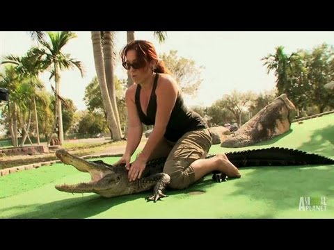 Gators and Mini Golf Don't Mix | Gator Boys