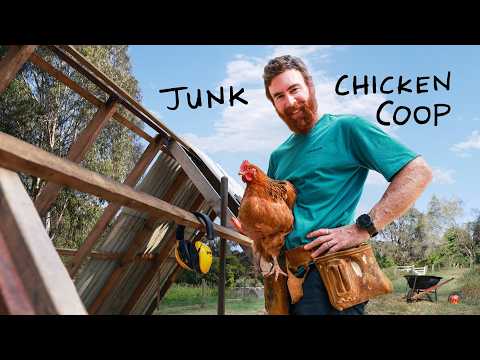 Building my daughters a $0 chicken coop