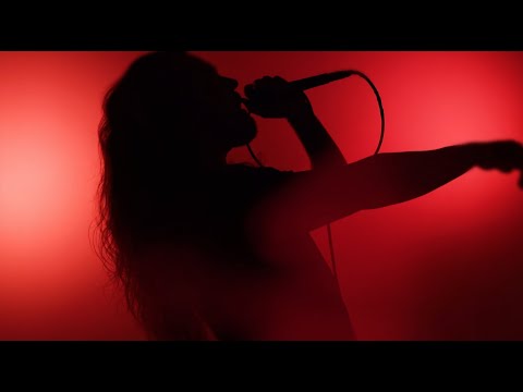 Bad Llama - Viper (Official Music Video)