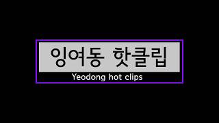 잉여동 월드오브탱크 핫클립 모음 1편