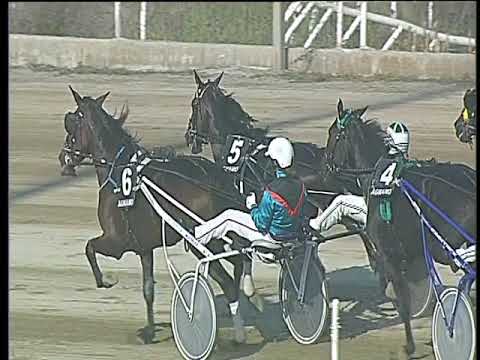 Trotto 20/10/2017 - 3ª corsa