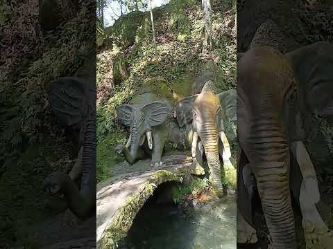 🐘 Elefantes de piedra: Naciente del Rio tioyacu  - San Martín, Perú