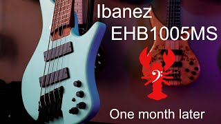 Video thumbnail for LowEndLobster Fresh Look: Ibanez EHB1005MS One Month Later by LowEndLobster