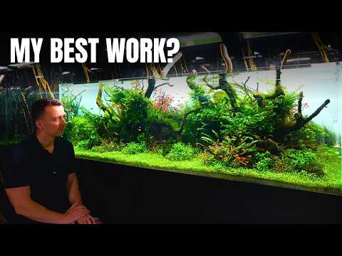 THE BEST AQUASCAPE I'VE EVER CREATED? Epic 6ft Aquascape Tutorial