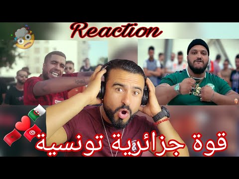 Klay ft.Trap King - Intergouvernementalisations #Reaction نار يا خو 🇹🇳🇲🇦🇩🇿❤🤯🔥