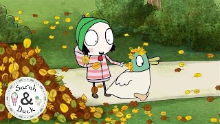Autumn - Wide-Eyed Compilations - Sarah and Duck