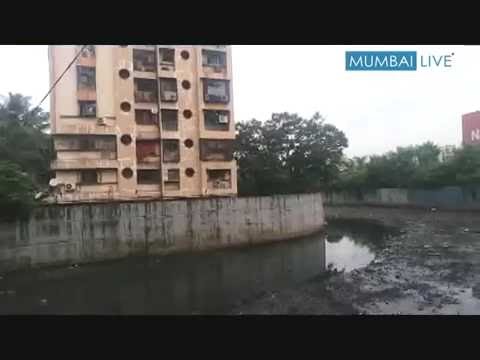 मच्छरों का प्रकोप !