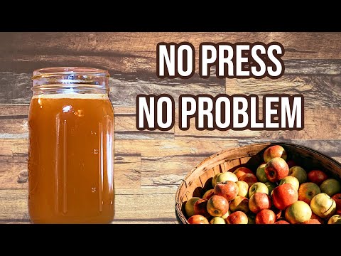 Make Cider Without a Press | From Fresh Apples