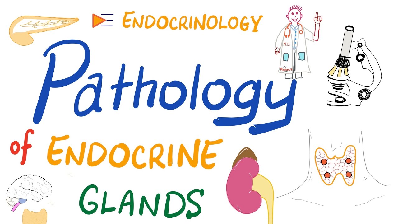 Pathology Basics of Endocrinology