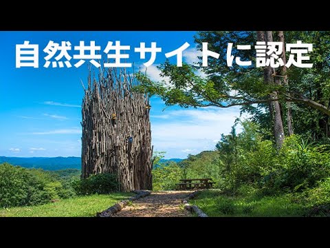鳥に隠れ場所を提供して歓迎します