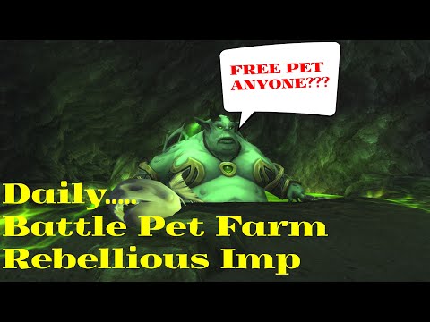 Daily Battle Pet Farm - Rebellious Imp - Goldfarm WoW Shadowlands