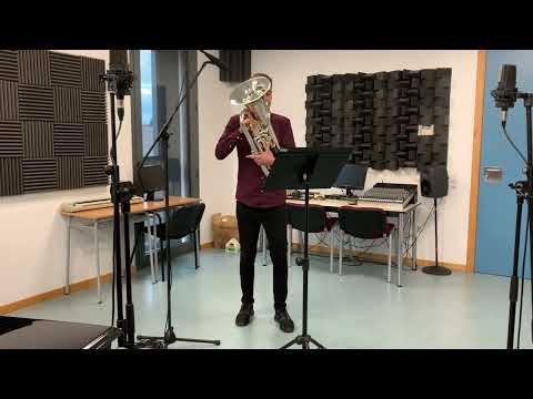 Mazurka - N. D. Falcone.