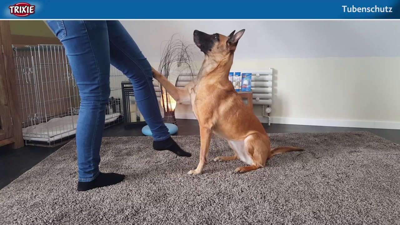 Trixie Protège-tube