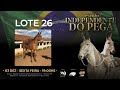 LOTE 26 Latina RF