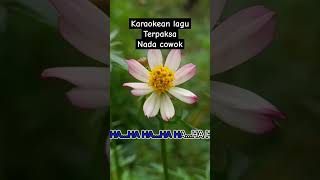 Download lagu terpaksa Rhoma irama #dangdut #karaoke mp3