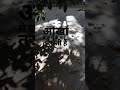 WhatsApp Status Ajab Prem Ki Gajab Kahani Aankhon Se Chulo K Bahe Tarasti Hai Atif Aslam