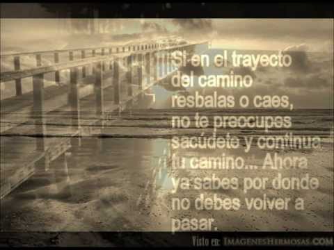 Así Es La Vida - Annette Moreno