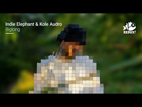 Indie Elephant & Kole Audro - "Biglong" (REDUX003)