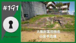 #191 大阪府富田林市　小金平古墳