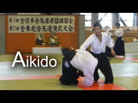 Aikido - Shirakawa Ryuji shihan 【All Tohoku Aikido Demonstration 2018 】