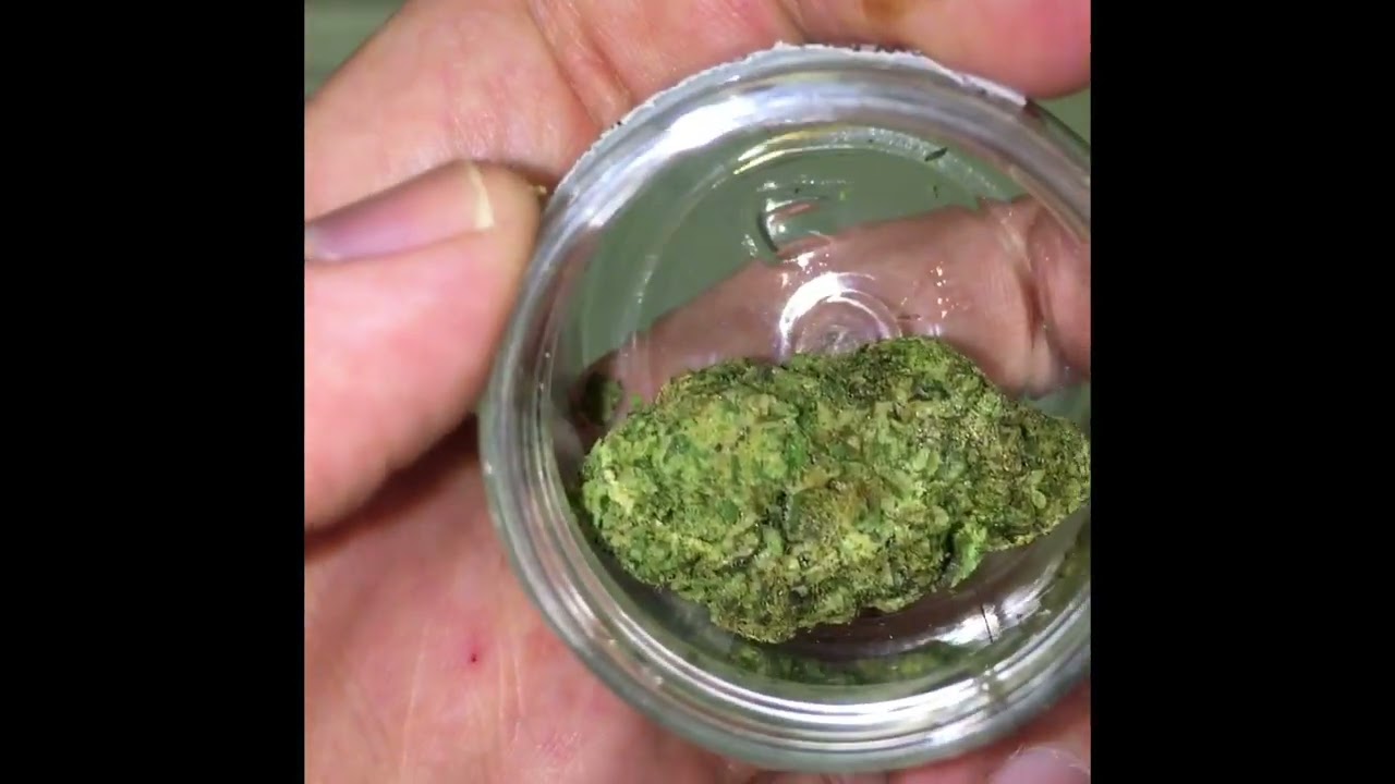 Purlife Purple Octane x Jealousy review