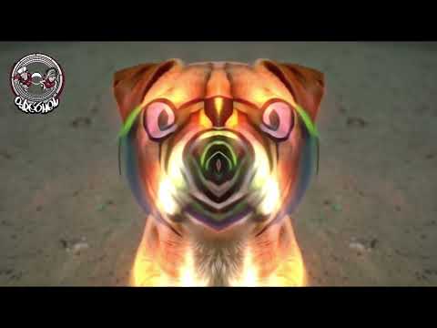 J.B Spé6Men - Future Paradise - Sound System 002