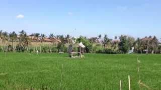 preview picture of video 'Land for lease Canggu Bali 10ares - 40 years - 01islands.com'