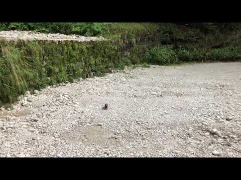 Luca Pescante Align T-Rex 300X test on a mountain road