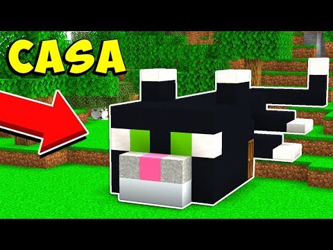 LA NUOVA CASA DEL GATTO - Minecraft ITA