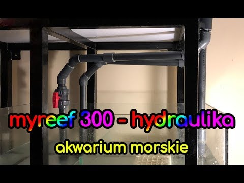 (101) MyReef 300 / Hydraulika - Akwarium morskie - Reef aquarium