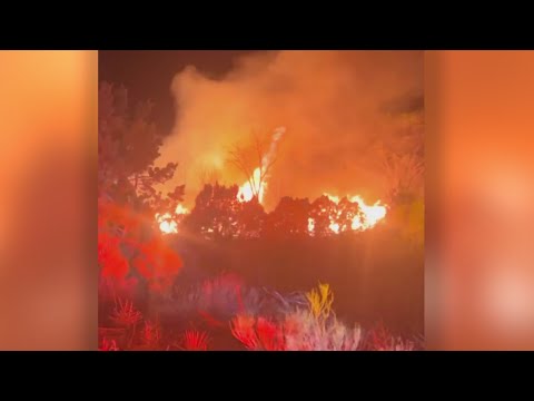 Video: Brush fire contained in Santa Fe
