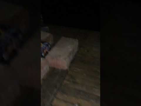 Compact Backyard Fun 16 coups 20mm - Vignette vidéo 1